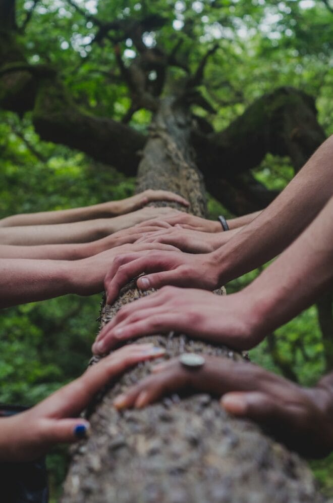 Teambuilding Firmenfeiern Teamwork