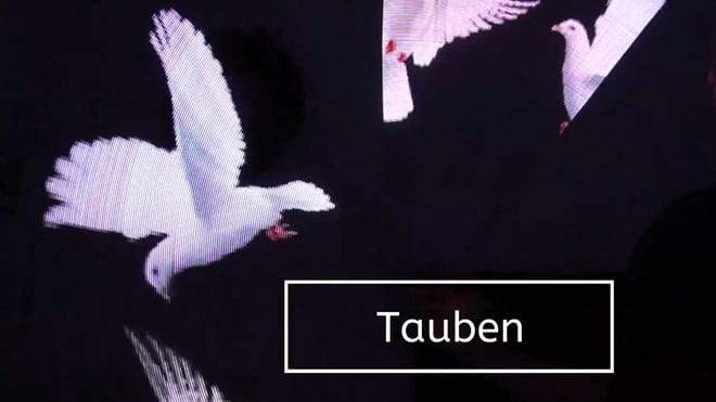 Weiße Taube als Teil der Lichtshow